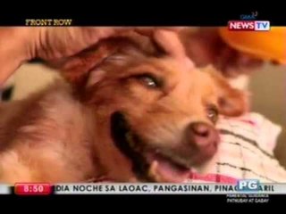 Front Row: Pag-aaruga sa mga asong may special needs