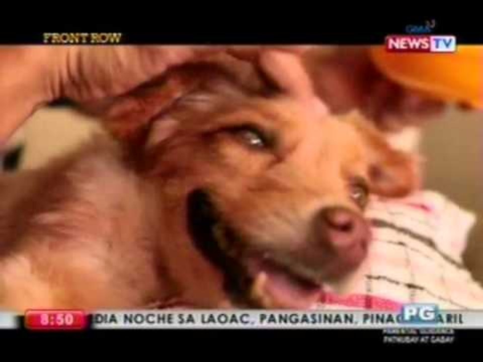 Front Row: Pag-aaruga sa mga asong may special needs