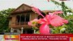BT: Mga heritage house sa Negros Occidental, idineklarang nat'l treasure ng NHC