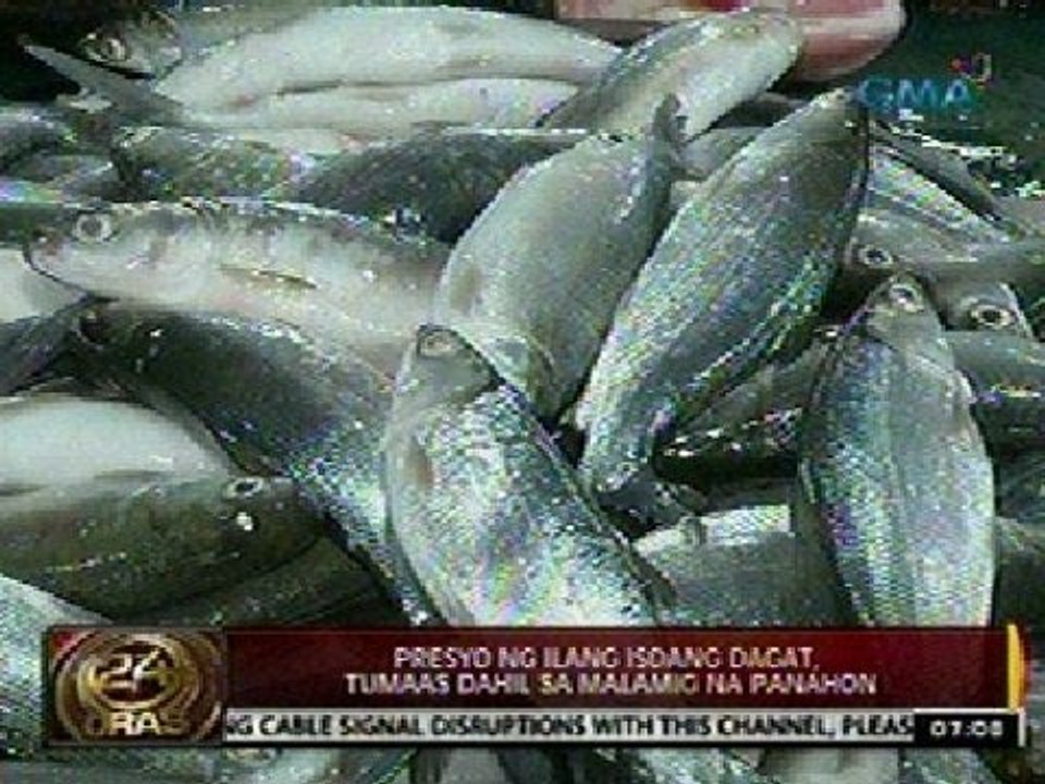 24Oras: Presyo ng ilang isdang dagat, tumaas dahil sa malamig na panahon