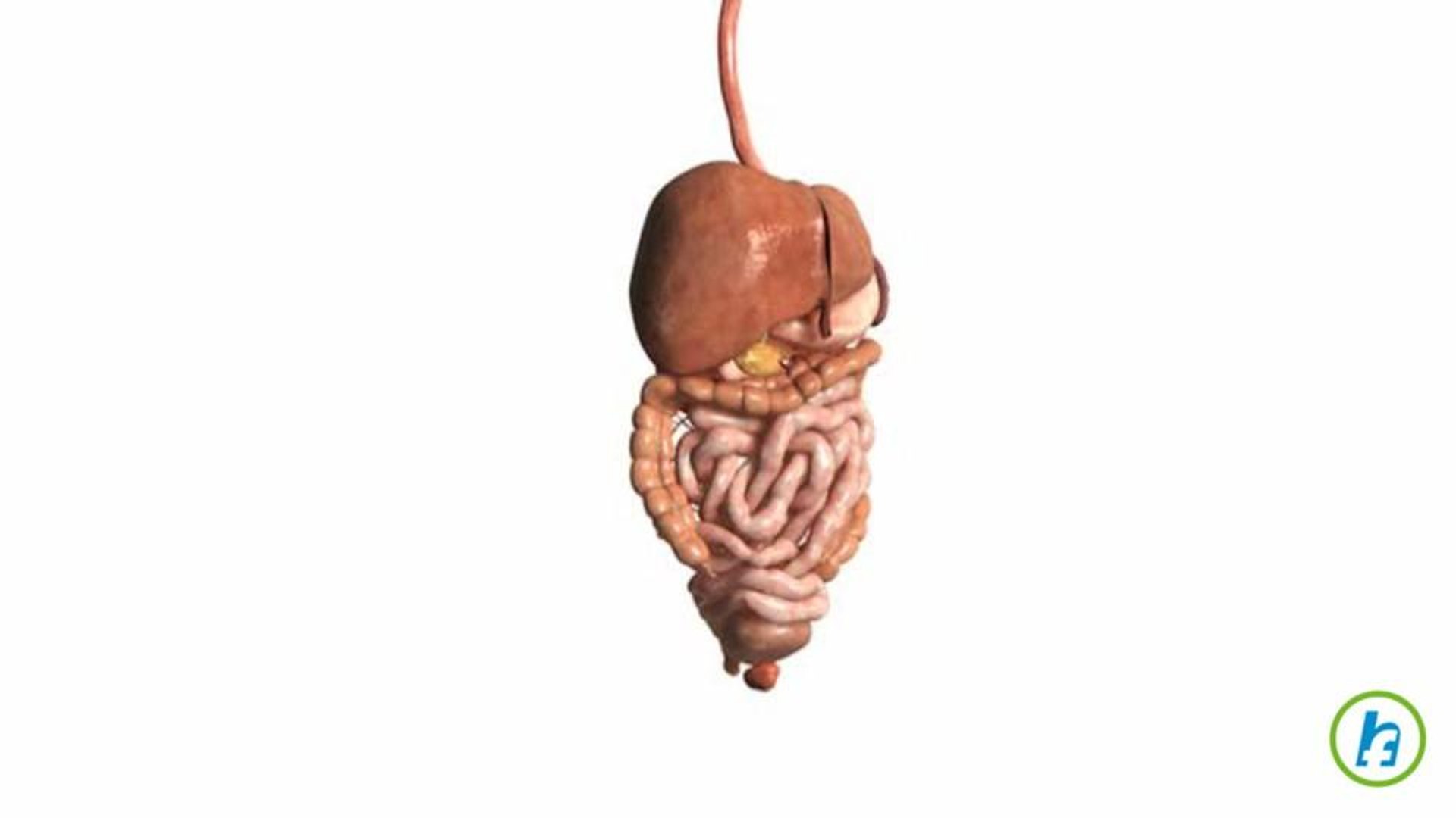 ⁣What is a Kidney Transplant?