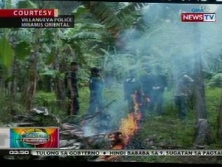 BP: Plantasyon ng marijuana sa Misamis Oriental, nilusob ng pulisya