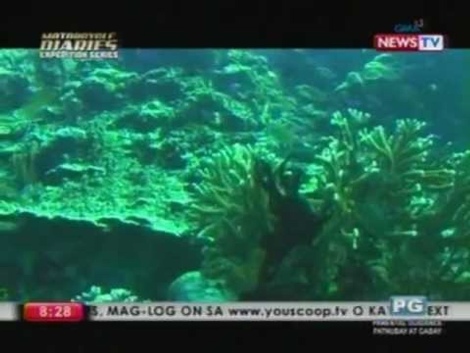 Motorcycle Diaries: Apo Reef