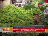 BT: Presyo ng gulay mula Baguio, tumaas dahil sa malamig na panahon doon