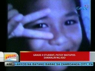 UB: Grade 4 student, patay matapos sakmalin ng aso