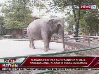 SONA: Planong paglipat sa sanctuary ng elepanteng si Mali, tatalakayin sa Kamara bukas