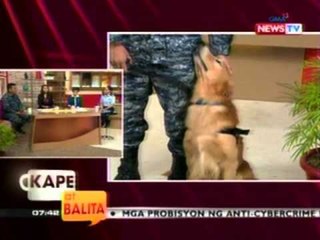 KB: Bakit may mga alagang asong umaatake at nangangagat?