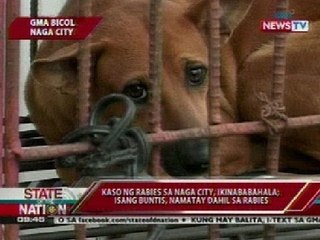 SONA: Kaso ng rabies sa Naga City, ikinababahala; isang buntis, namatay dahil sa rabies