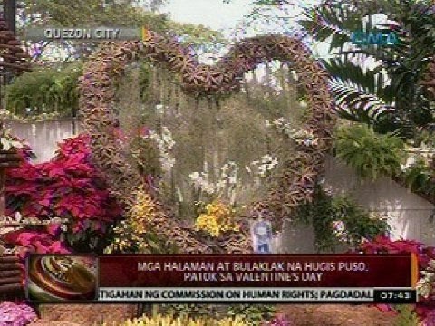 24 Oras: Mga halaman at bulaklak na hugis puso, patok sa Valentine's Day