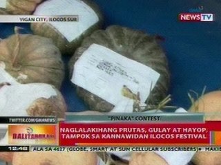 BT: Naglalakihang prutas, gulay at hayop, tampok sa Kannawidan Ilocos Festival