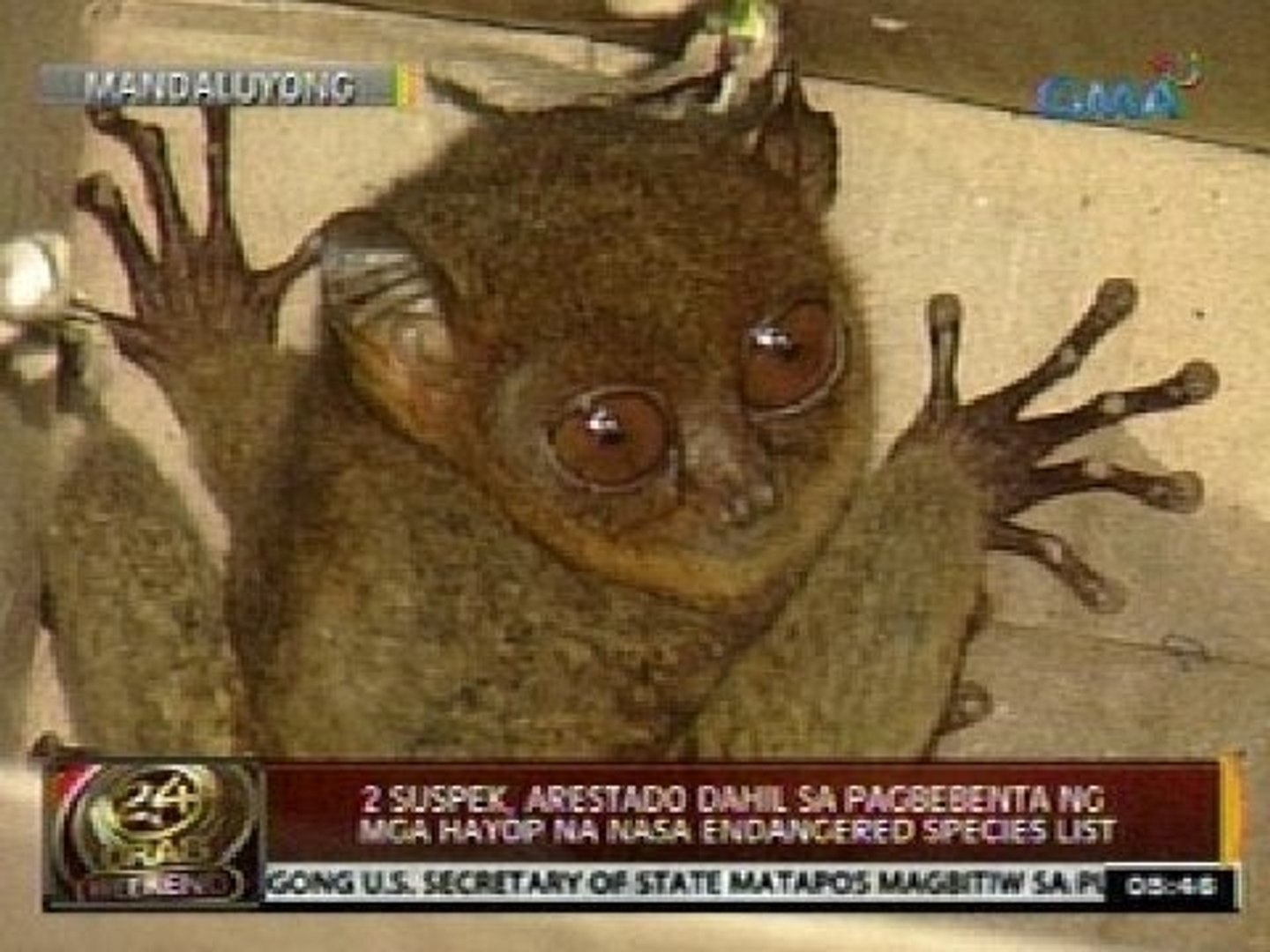 ⁣24 Oras: 2 suspek, arestado dahil sa pagbebenta ng mga hayop na nasa endangered species list