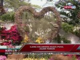 SONA: Pagbibigay ng bulaklak, nauuso tuwing Valentine's Day