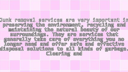 Hiring Junk Removal Services