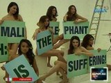 Saksi: Ilang artista at modelo, nag-pose nang hubad sa kampanya para alisin sa Manila Zoo si Mali