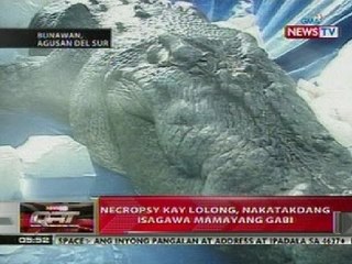 QRT: Necropsy kay Lolong, nakatakdang isagawa mamayang gabi