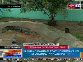NTG: Sanhi ng pagkamatay ni Lolong, inaalam pa rin