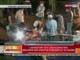 BT: Necropsy sa buwayang si Lolong, inabot ng halos 7 oras