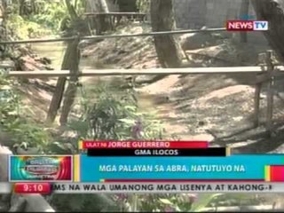 BP: Mga palayan sa Abra, natutuyo na