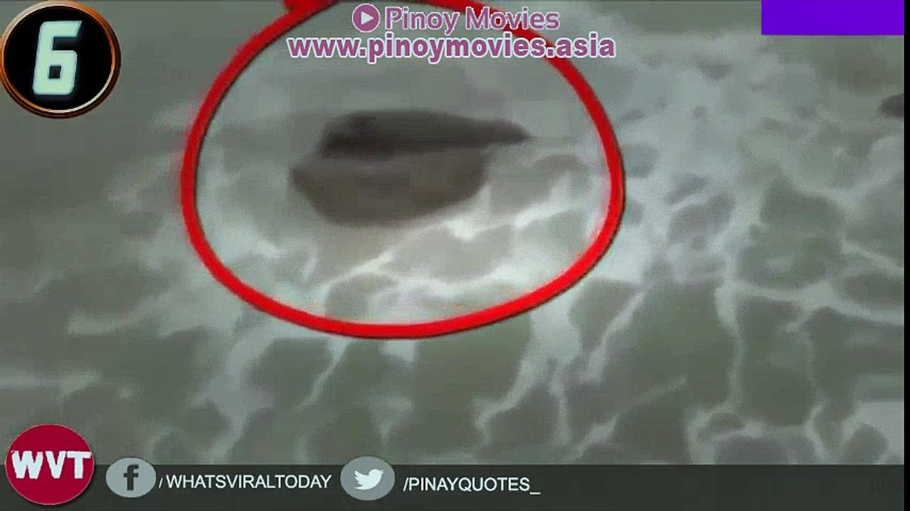 10 Totoong Sirena na Nakuha ng Video Camera | www.pinoymovies.asia