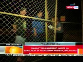BT: Umano'y mga miyembro ng NPA na sumalakay sa plantasyon ng pinya, nakatakas