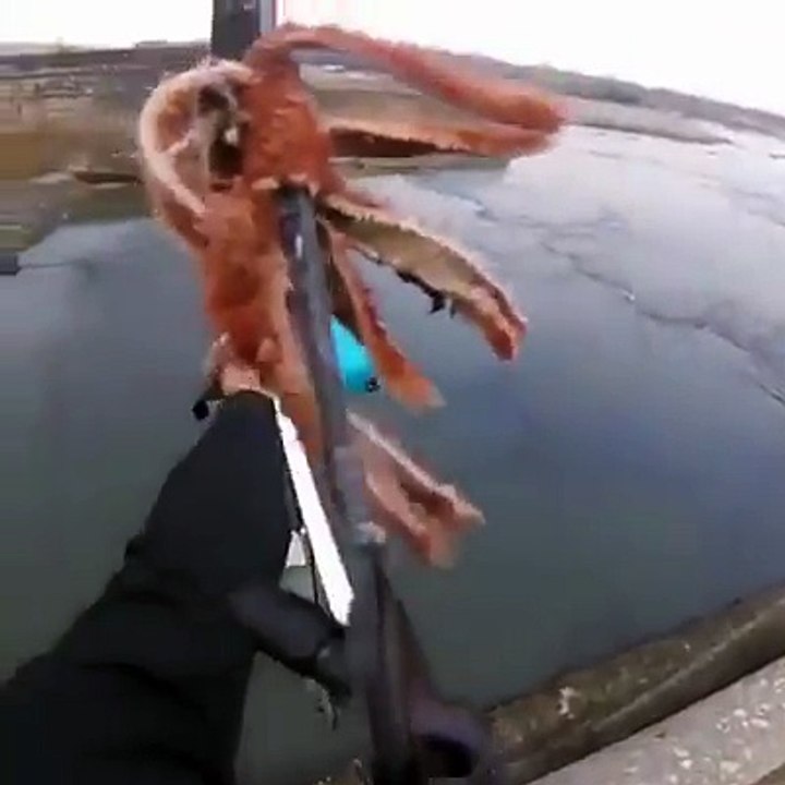 Fishing with bulls eye arrow