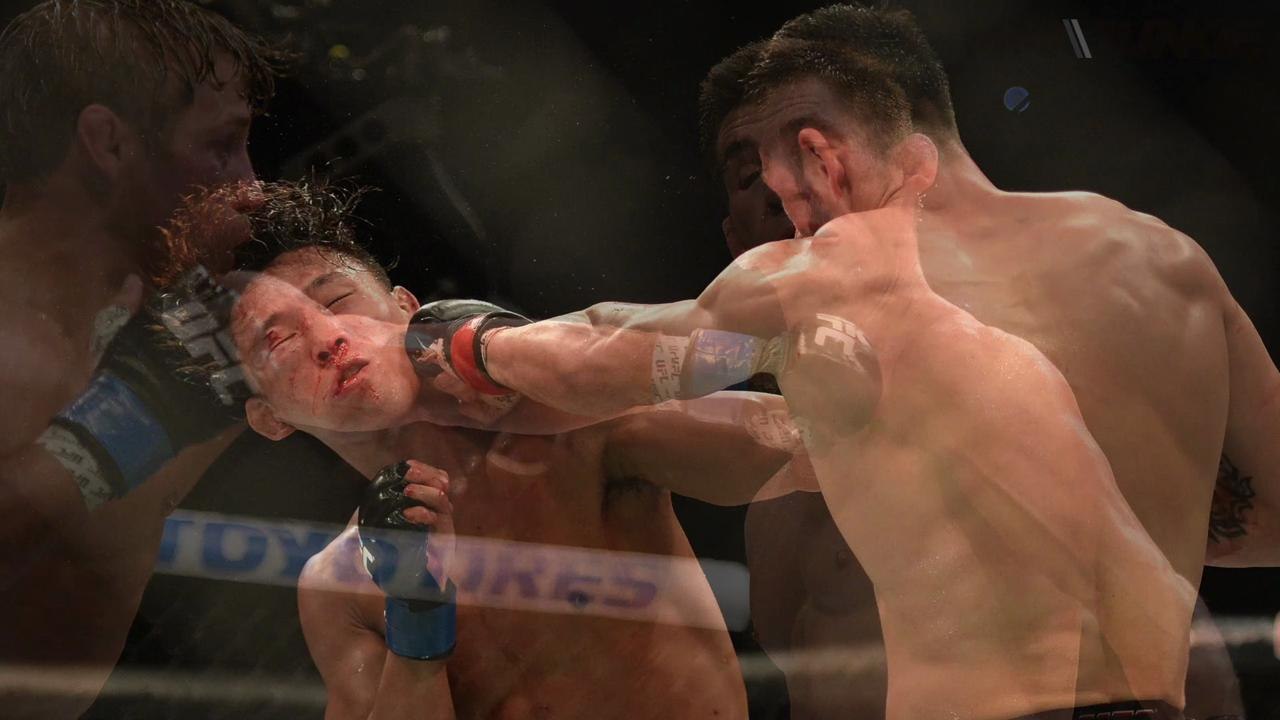 The Best UFC Photos of 2016