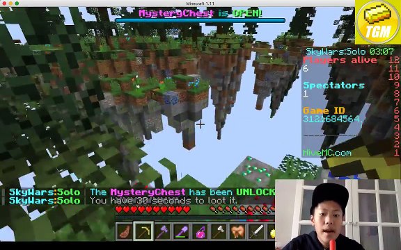 MINECRAFT HIVE SERVER SKYWARS LIVESTREAM!!!
