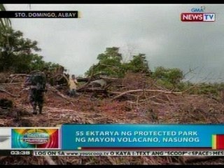 BP: 55 ektarya ng protected park ng Mayon Volcano, nasunog
