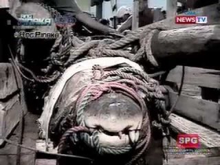 Ang Pinaka: Sikat na Animal Newsmaker no. 1: Lolong