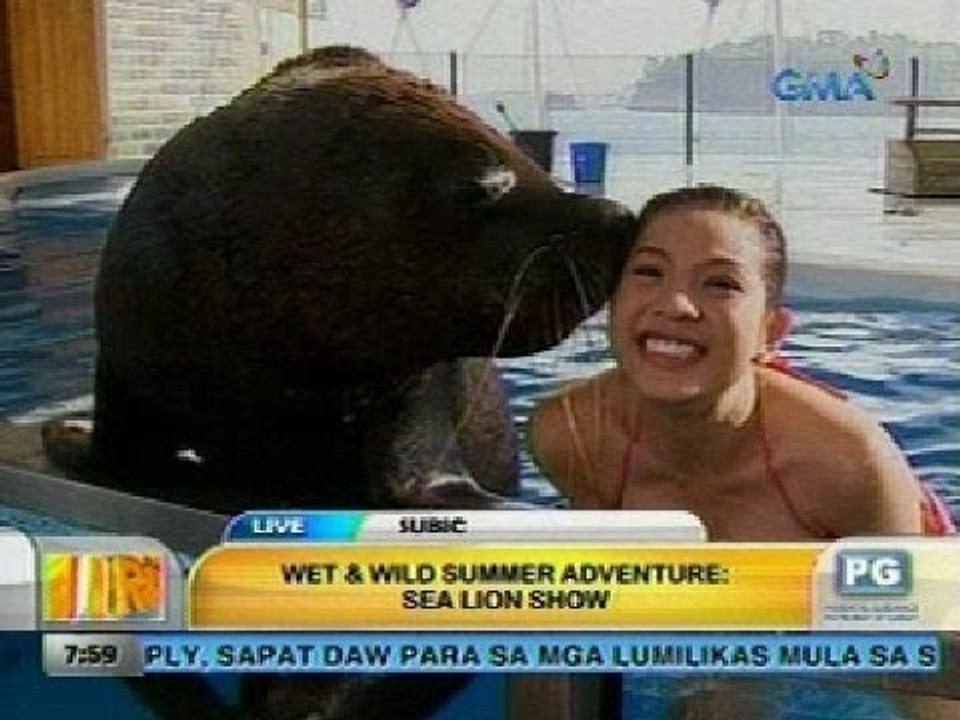 UH: Wild summer adventure: Lion Safari
