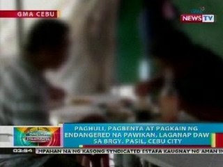 BP: Paghuli, pagbenta at pagkain ng endangered na pawikan, laganap sa isang lugar sa Cebu