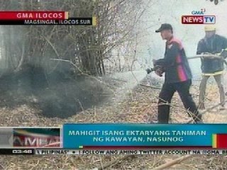 BP: Mahigit isang ektaryang taniman, ng kawayan, nasunog (Magsingal, Ilocos Sur)