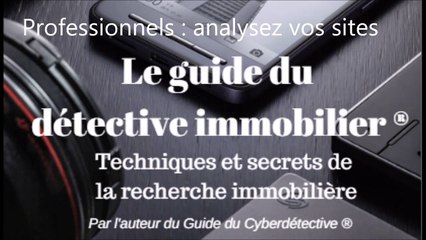 Le guide Pro du Détective Immobilier ® - Comment faire un audit de ses sites