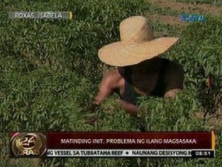 24 Oras: Matinding init, problema ng ilang magsasaka