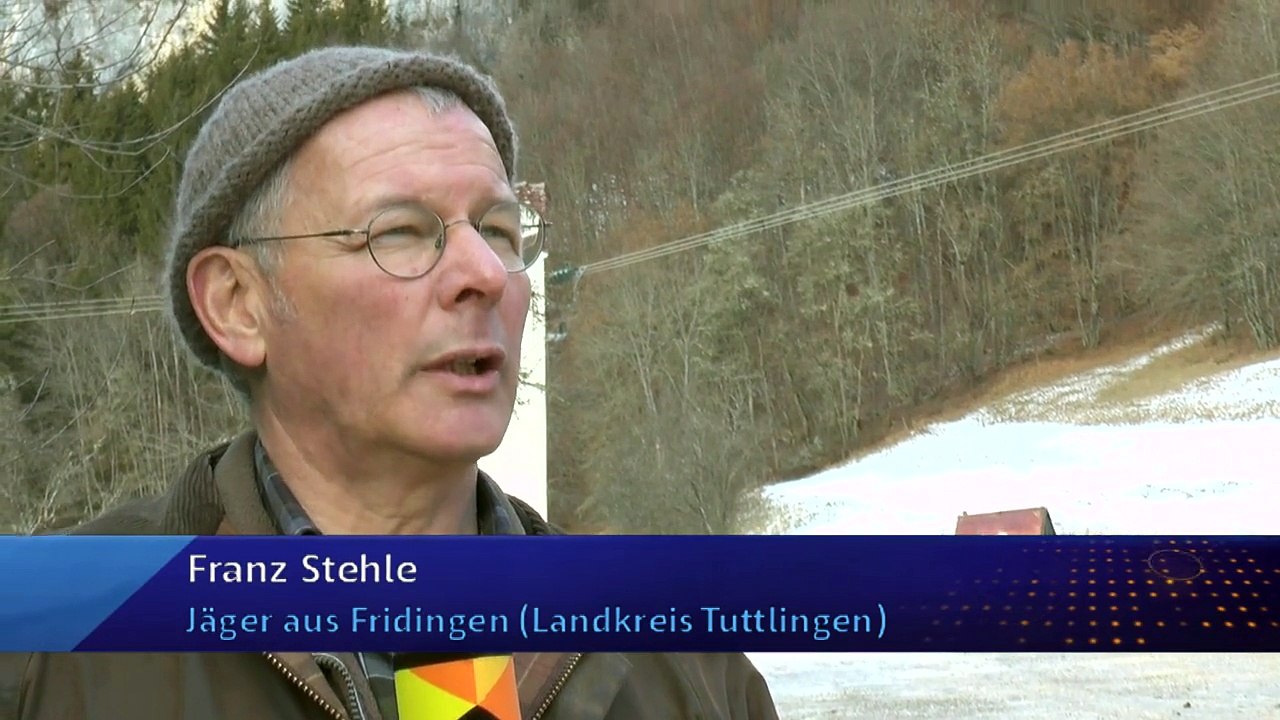 Un chasseur retrouve un renard emprisonné dans un bloc de glace