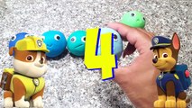 PAW PATROL: Learn Numbers Surprise Toy Play Doh Smiley Face Sea Animal Best Learning Videos for Kids