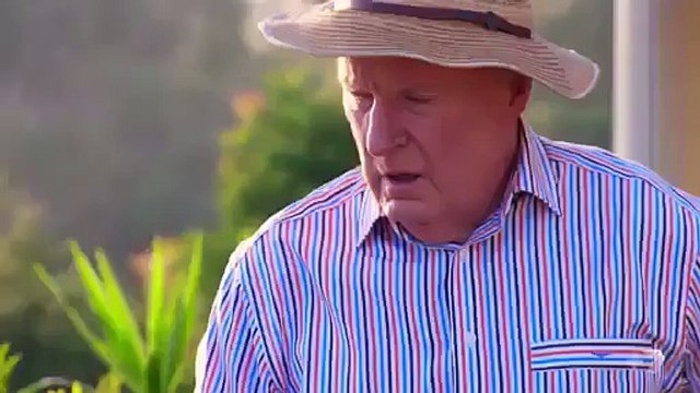 Home and Away 6556 22nd November 2016