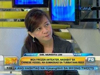 Talakayan with Igan: Mga frozen anteater, nasabat sa Chinese vessel na sumadsad sa Tubbataha Reef