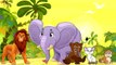 Super Finger Family Songs Collection - Sweets and Animals, Candies and Ice Creams