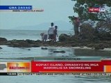 BT: Kopiat Island, dinarayo ng mga mahihilig sa snorkeling
