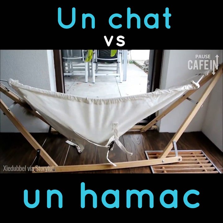 chat vs hamac