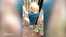 Chilling footage of child climbing pool fence and opening it