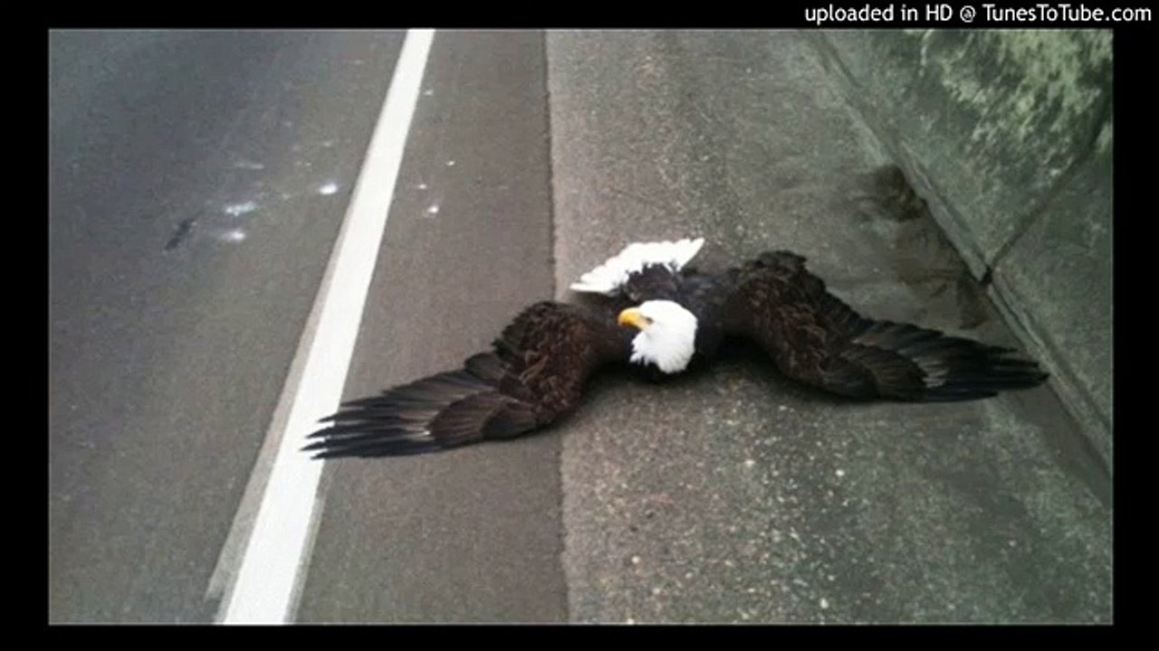 Ehsan Sehgal Prose Poem-Wounded Life