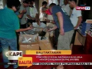 KB: Balitaktakan: Poaching o iligal na pagkuha ng mga hayop o halaman sa PHL waters