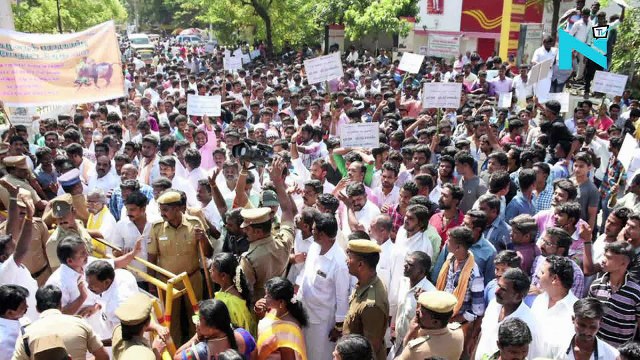 Actress Trisha heckled by Jallikattu supporters for endorsing PETA