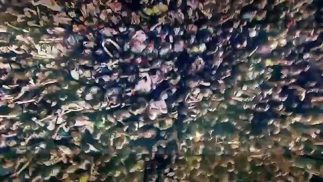 Sia & Rihanna Ft. David Guetta - Beautiful People (Music Video)