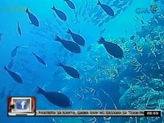 24 Oras: Tubbataha Marine Park Rangers,   parating nakaalerto para bantayan ang   bahura