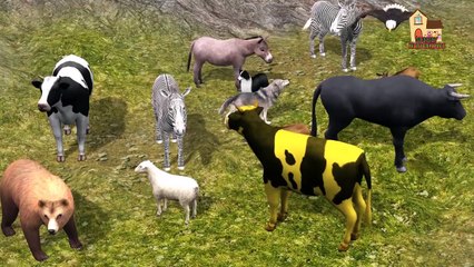 Finger family nursery 3d English rhymes | Funny Animals Finger Family kids songs