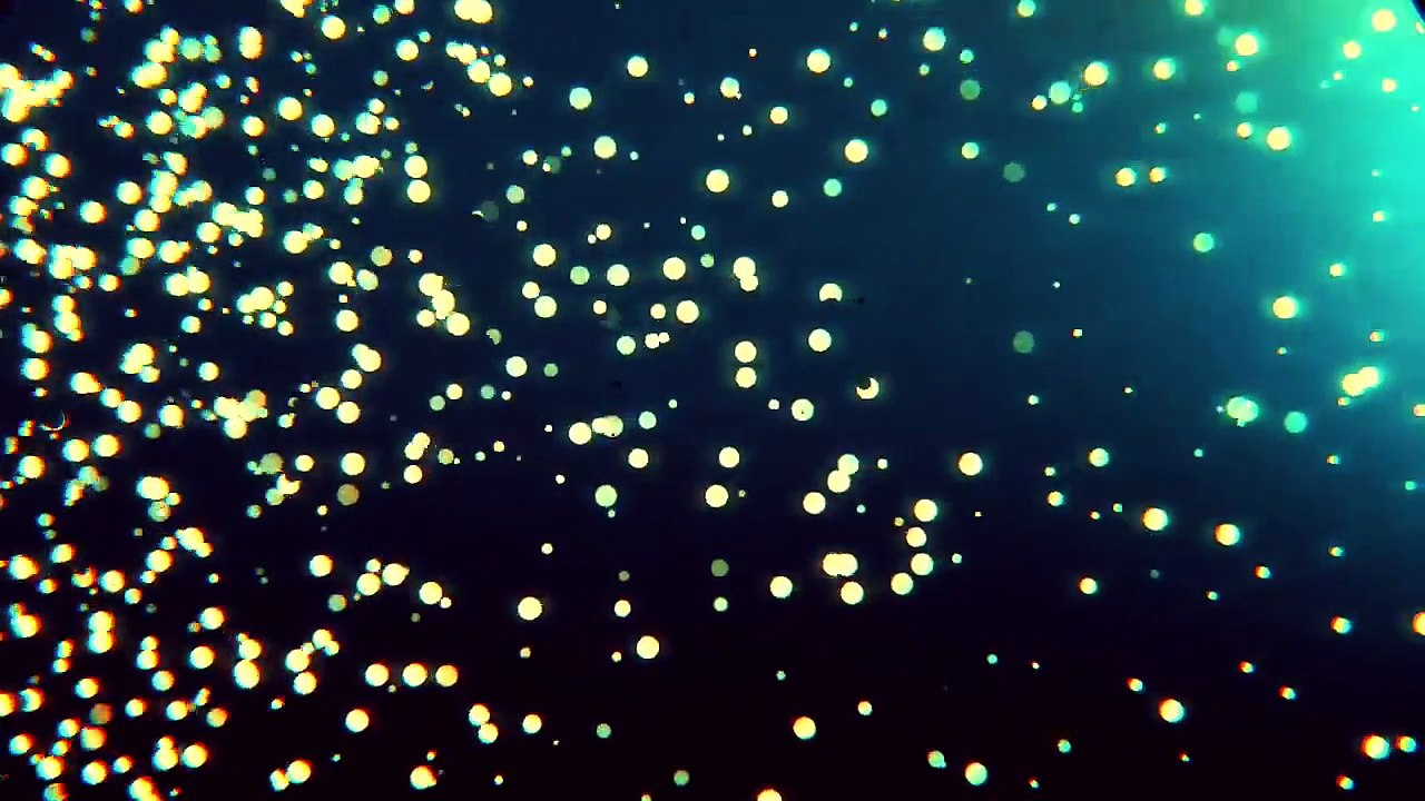 Terence McKenna - Why us