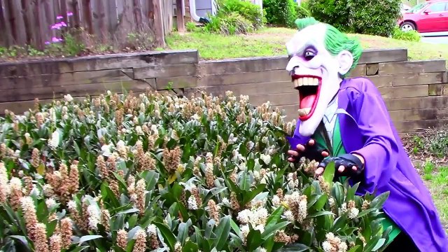 Frozen Elsa Anna become dolls with Spiderman Superhero funny video in real life